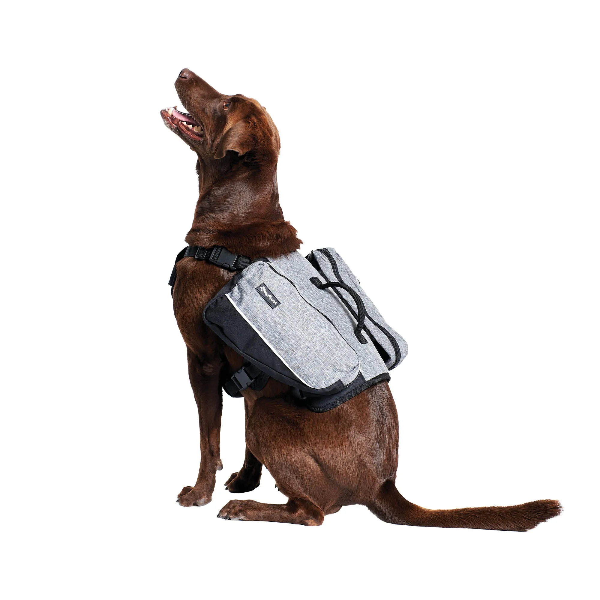 Zippy Paws Lightweight Adventure Backpack, Graphite